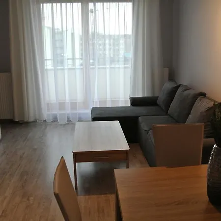City House - Silver Apartment Stettin