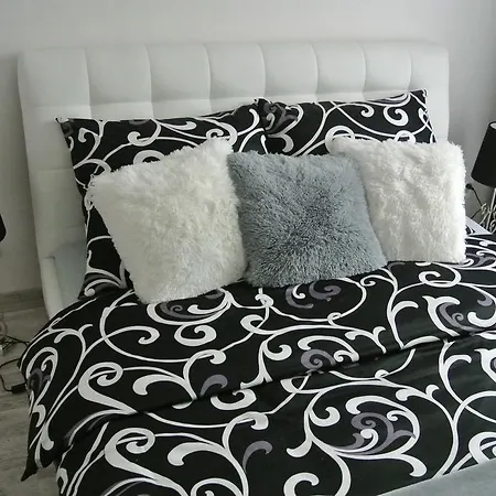 City House - Silver Apartment Stettin